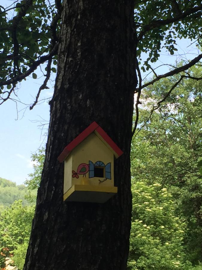 Villa Eco Kutak Mojkovac Esterno foto
