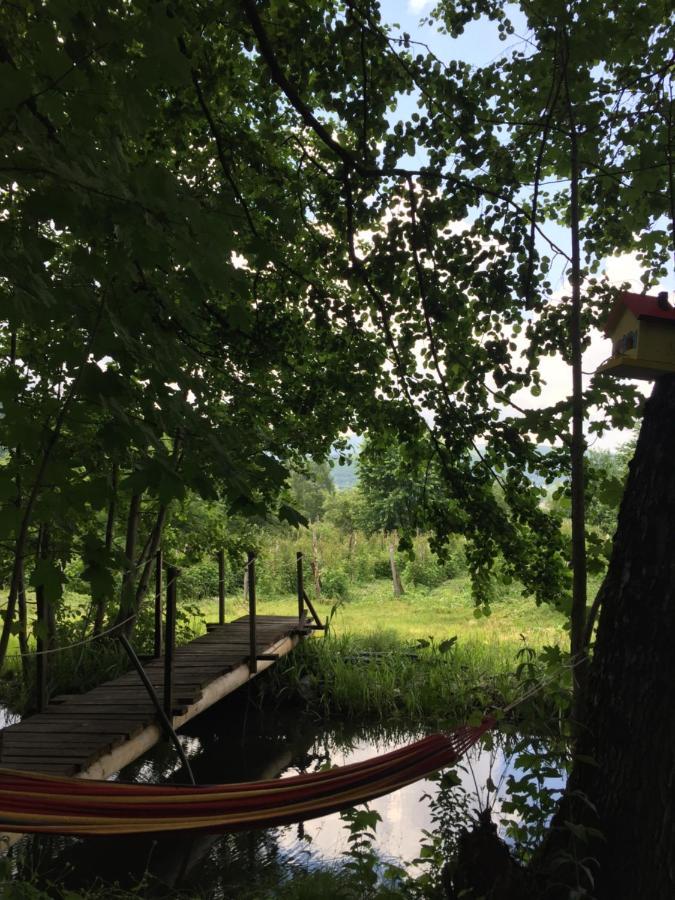 Villa Eco Kutak Mojkovac Esterno foto