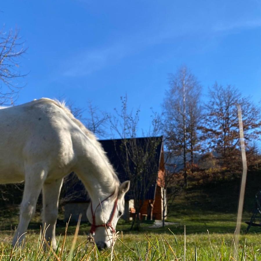 Villa Eco Kutak Mojkovac Esterno foto