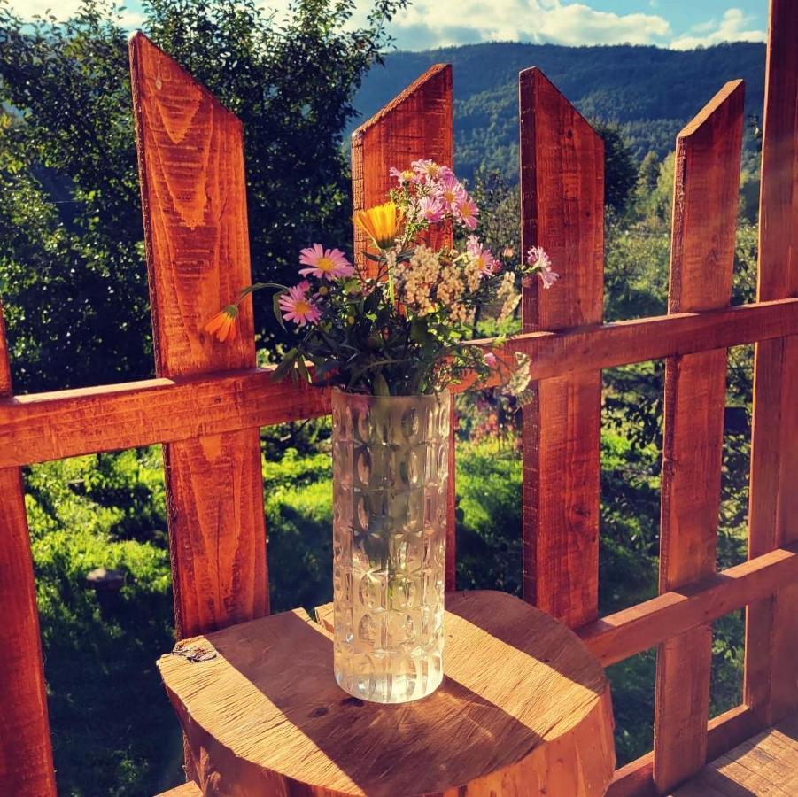 Villa Eco Kutak Mojkovac Esterno foto