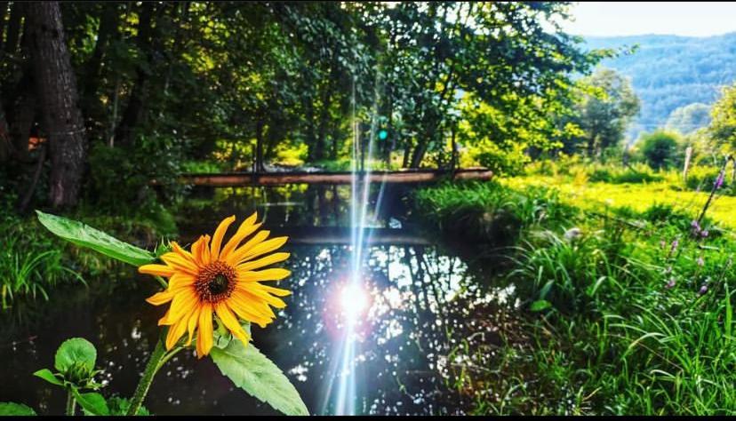 Villa Eco Kutak Mojkovac Esterno foto